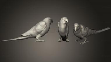 3D model Ziggy The Bird (STL)